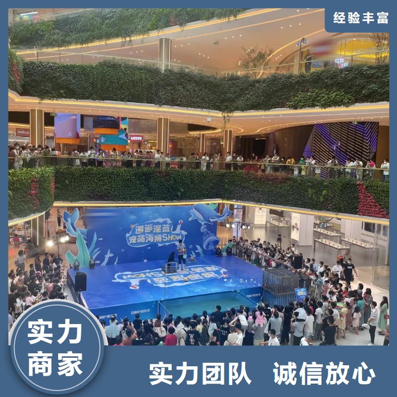 海洋主题动物表演海狮表演出租遵守合同