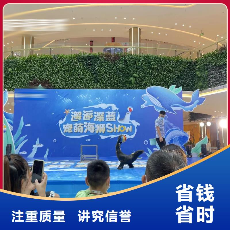 海洋主题动物表演杂技表演租赁服务一对一服务