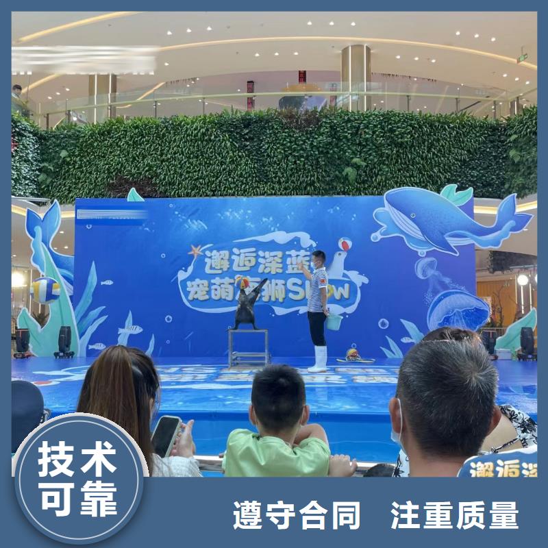 海洋主题动物表演-出租马戏团表演良好口碑