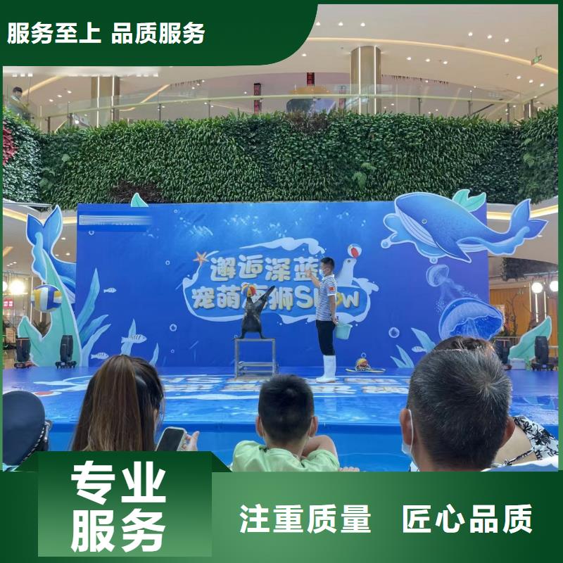 海洋主题动物表演羊驼表演信誉良好