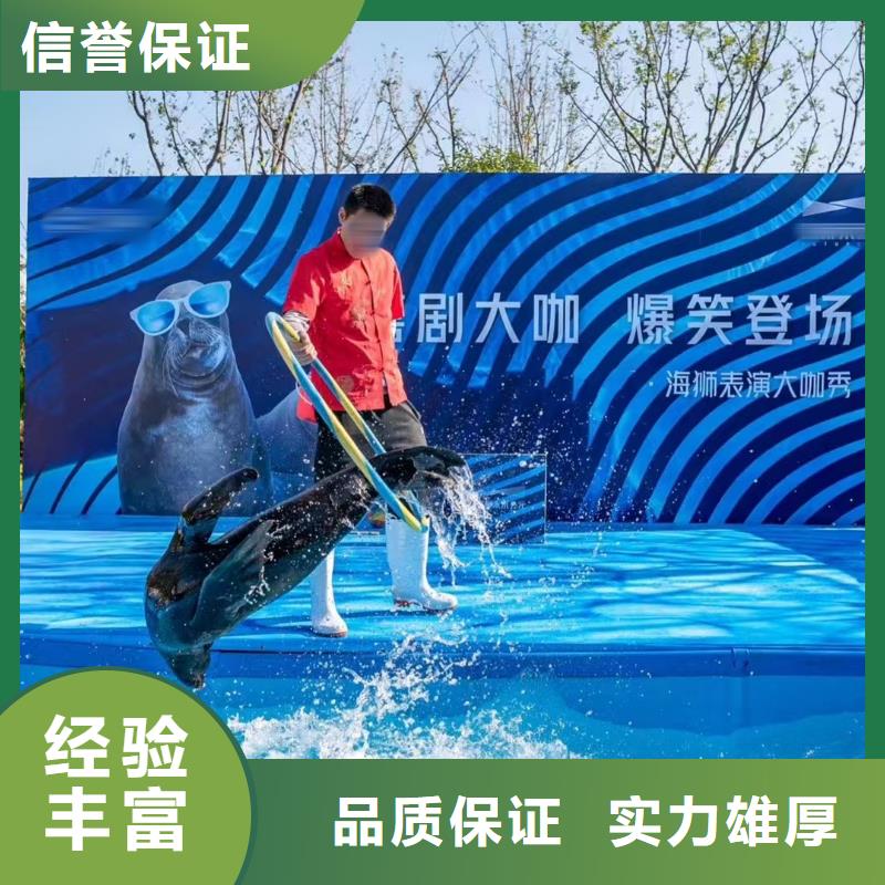 海洋主题动物表演_企鹅租赁从业经验丰富