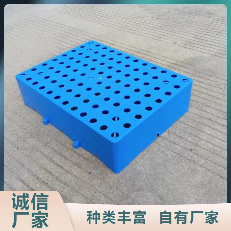 塑料托盘,货架拍子常年供应