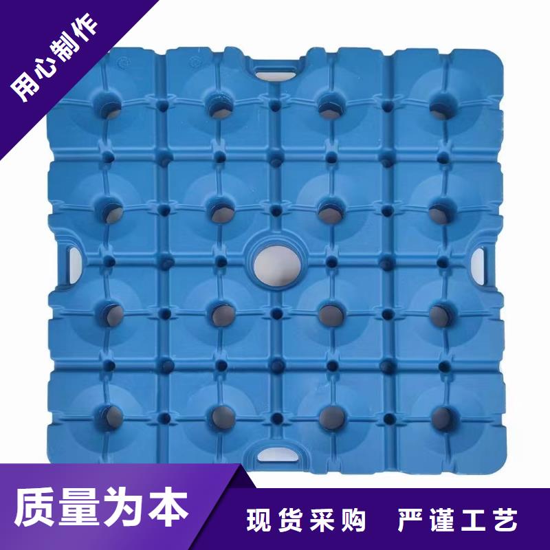 塑料托盘,网格田字型托盘产地直销