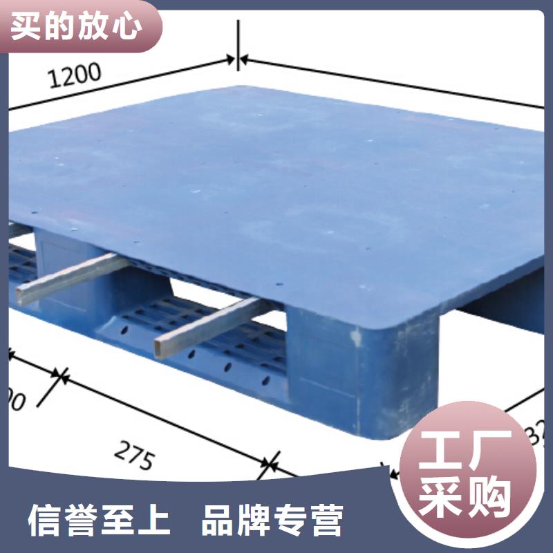 【塑料托盘,仓库防潮塑料栈板直销厂家】