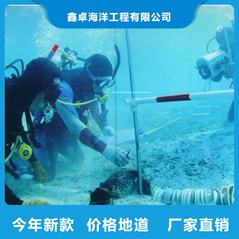 价格公道的水下拍照厂家
