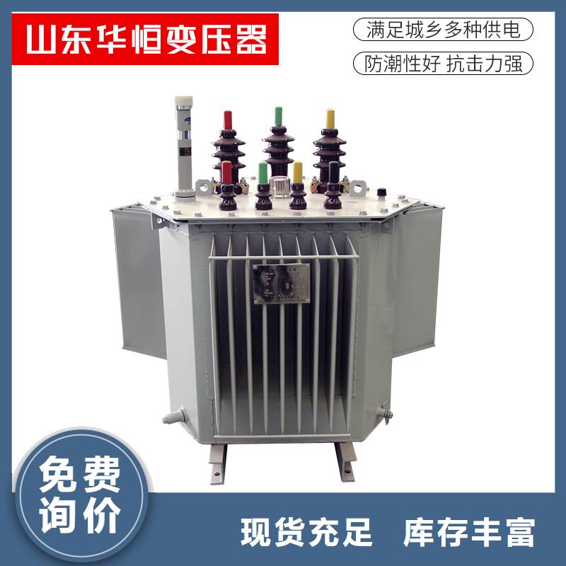 油浸式变压器维纳尔母线系统箱变压器多种规格可选