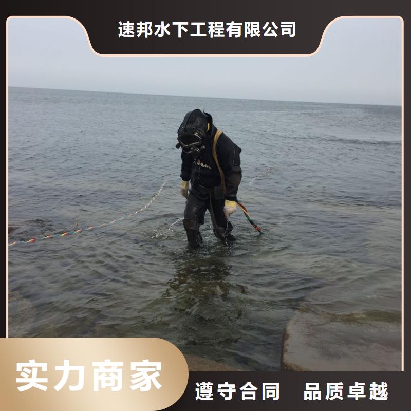 水下安装气囊封堵