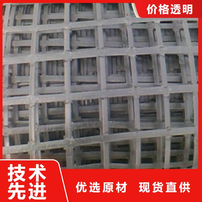钢塑土工格栅现货齐全