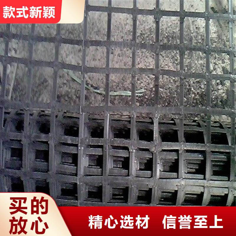 双向钢塑土工格栅批发