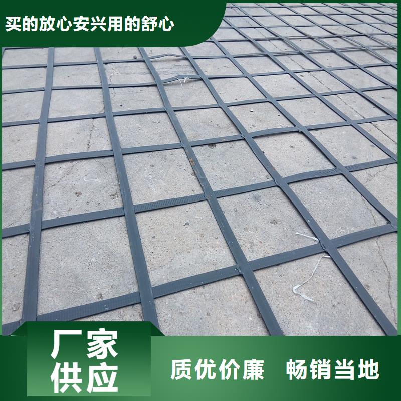 钢塑土工格栅现货齐全