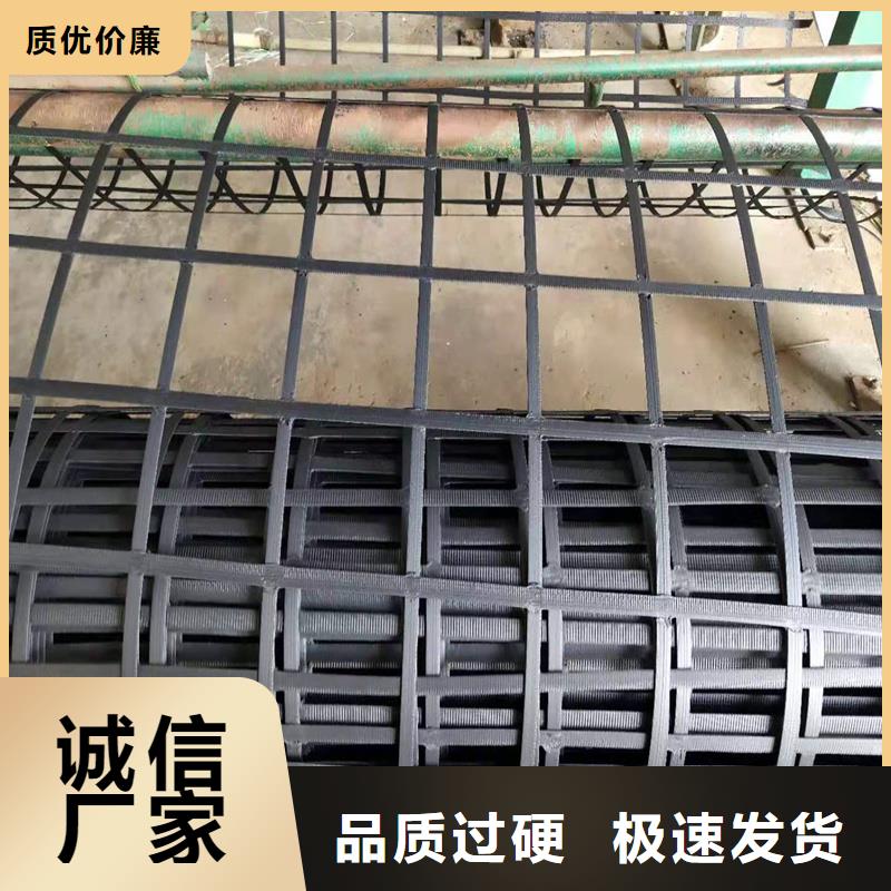 钢塑土工格栅哪有卖的
