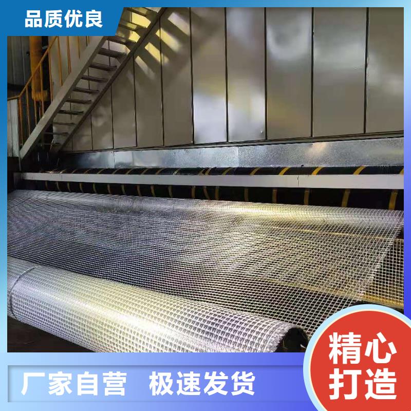 土工格栅双向塑料土工格栅欢迎来电咨询