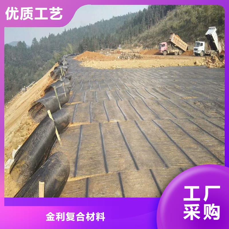 土工格栅\抗裂贴,聚酯长丝土工布精心