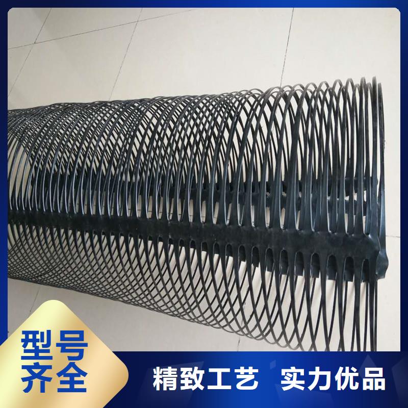 土工格栅\抗裂贴塑料土工格栅追求品质