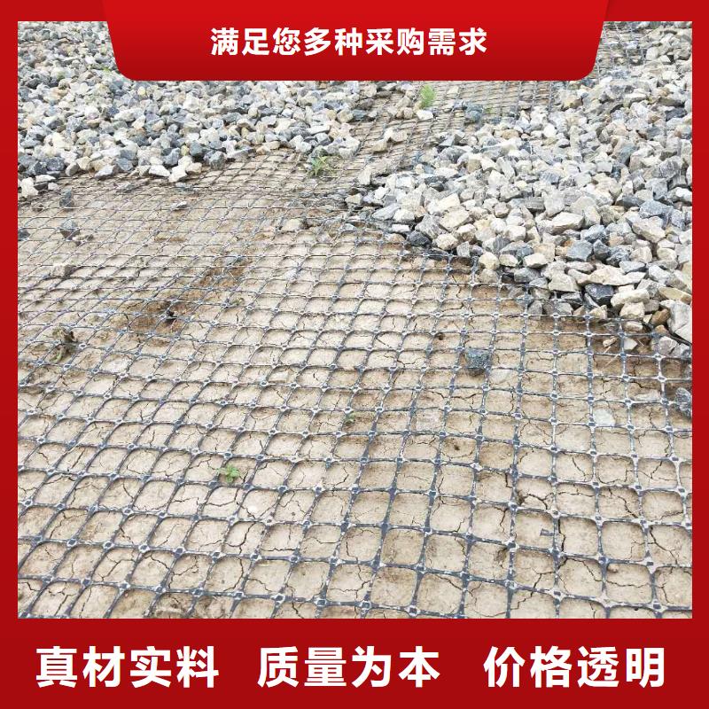 土工格栅\抗裂贴植草格工厂直销