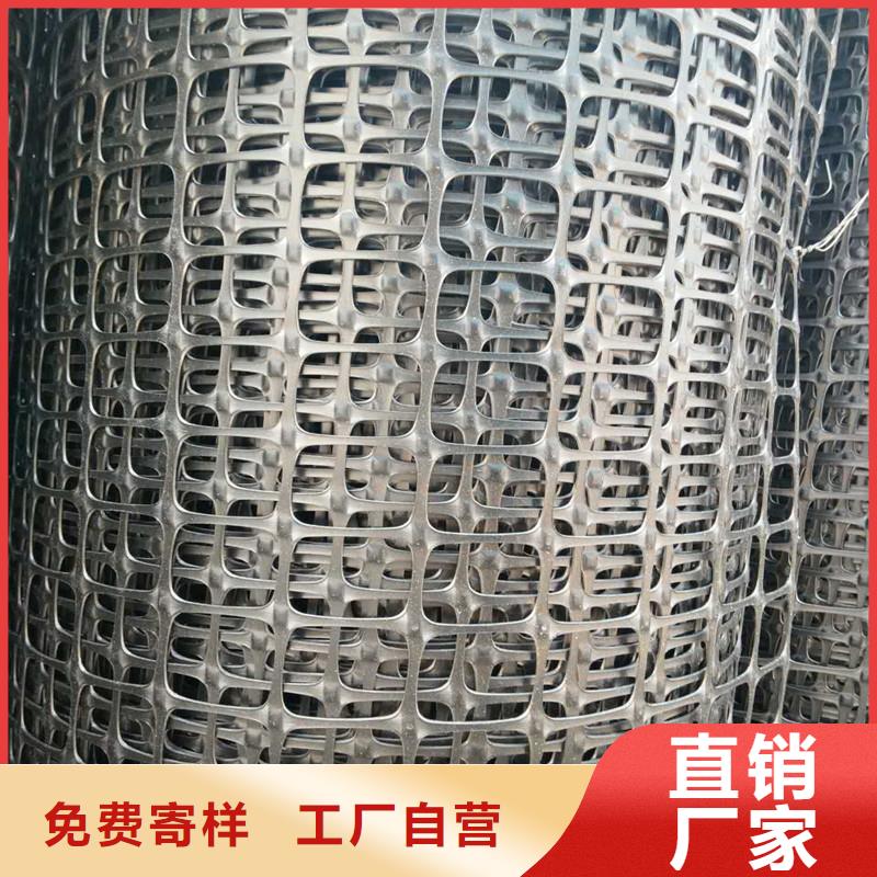 双向钢塑土工格栅厂家