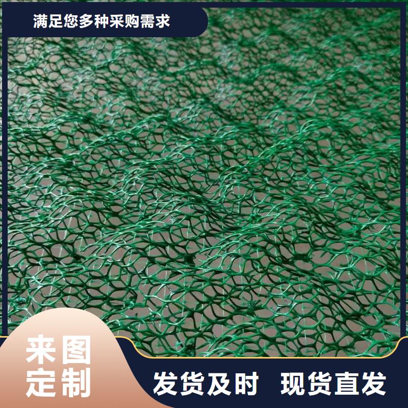 土工布涤纶格栅供应商