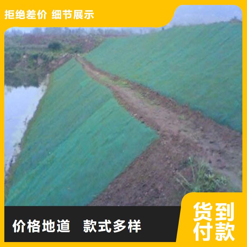 土工布涤纶格栅供应商