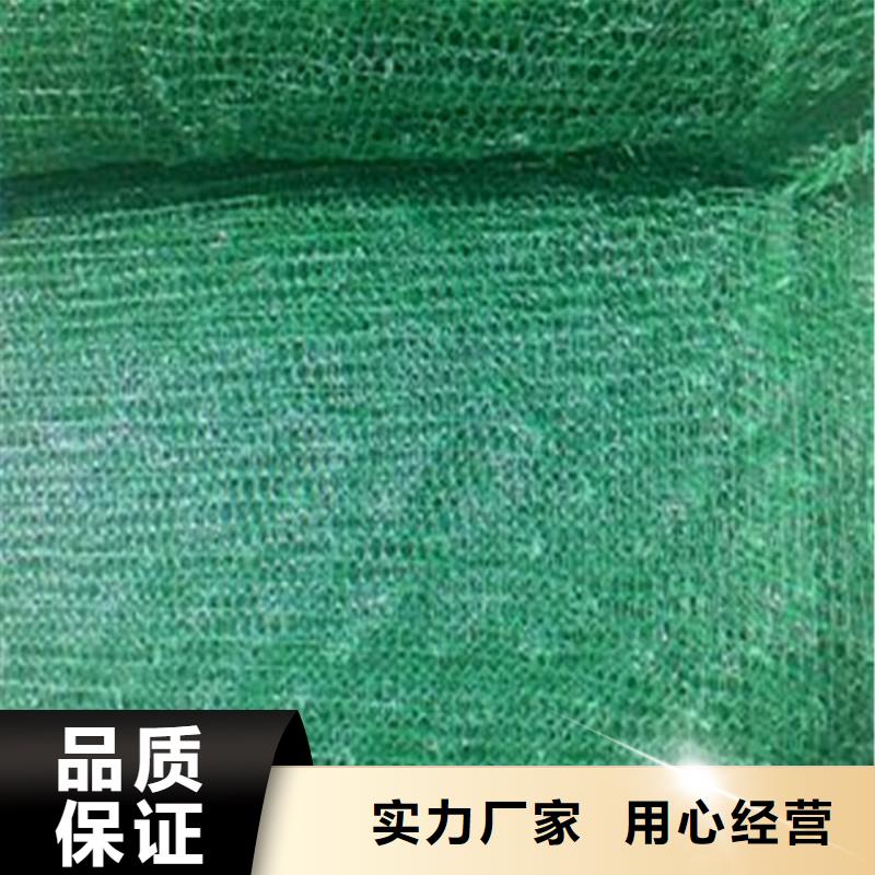 土工布玻璃纤维土工格栅按需定制真材实料