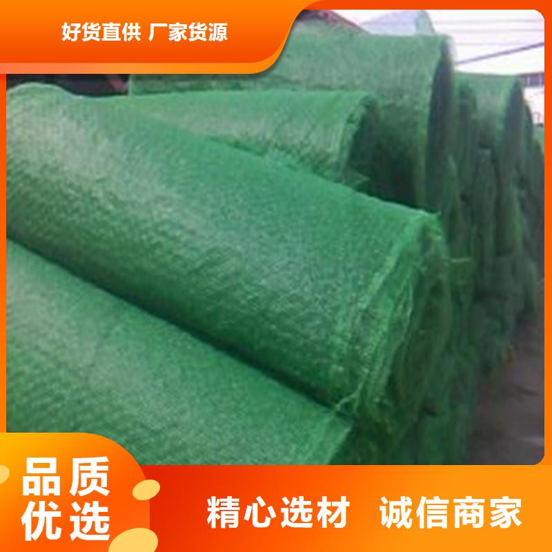 土工布涤纶格栅供应商