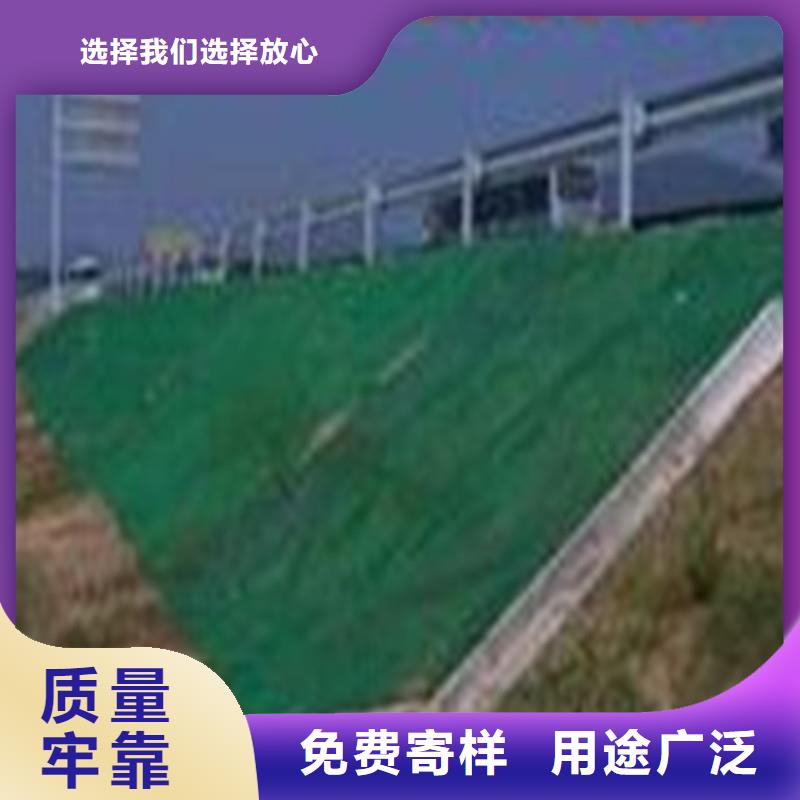 土工布镀锌管高标准高品质