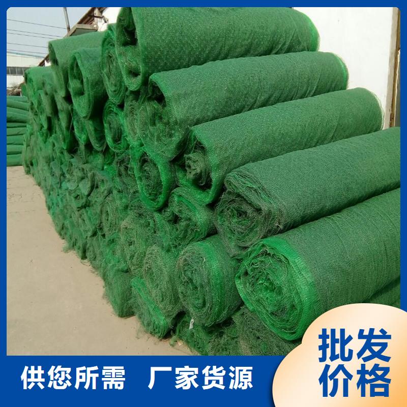 土工布涤纶格栅供应商