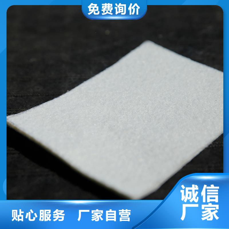 土工布80KN玻纤格栅专注细节使用放心