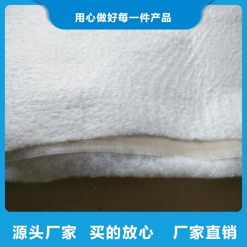土工布80KN玻纤格栅专注细节使用放心