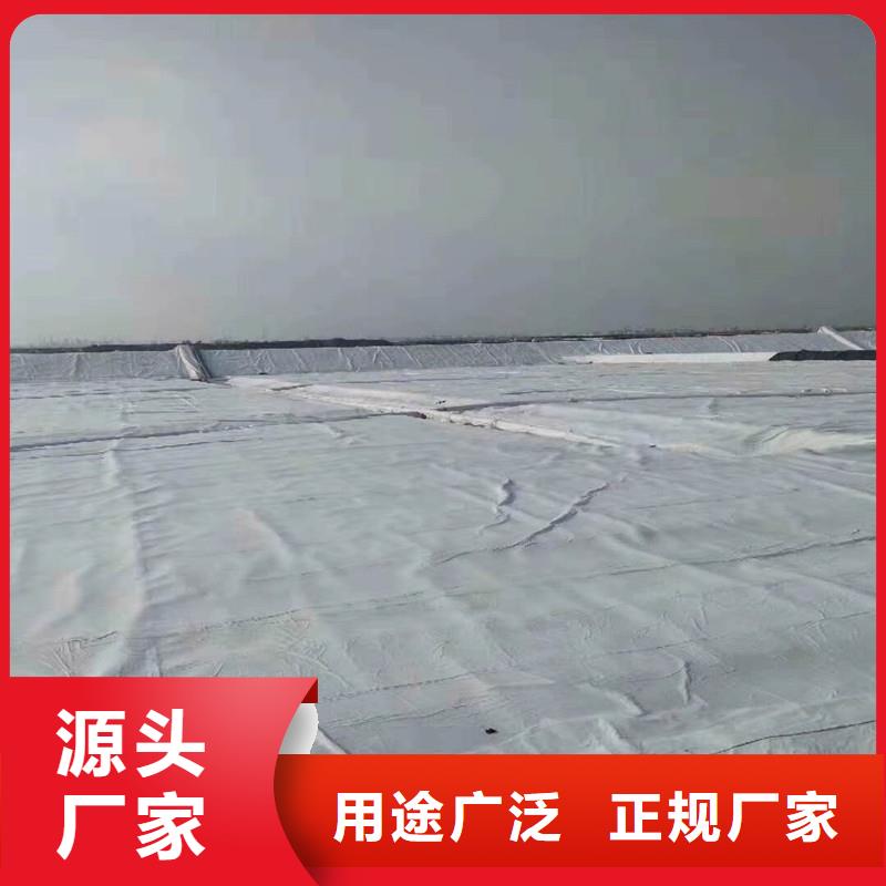 土工布涤纶格栅供应商