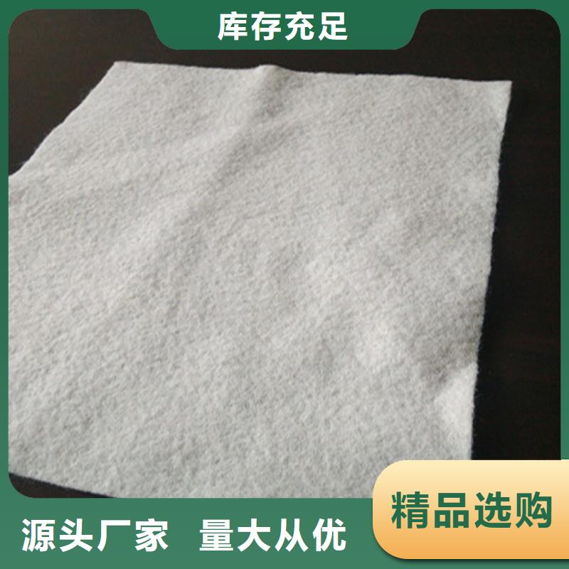土工布玻璃纤维土工格栅按需定制真材实料