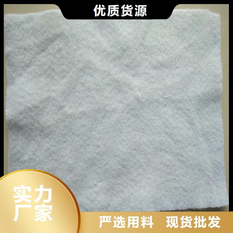土工布80KN玻纤格栅专注细节使用放心