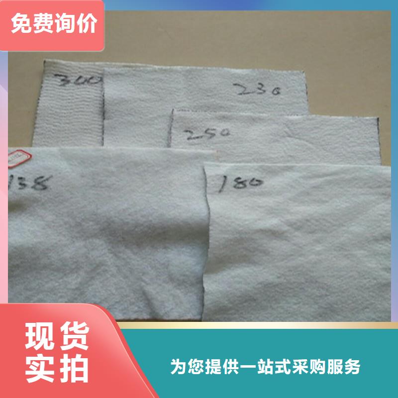 土工布双向土工格栅现货满足大量采购