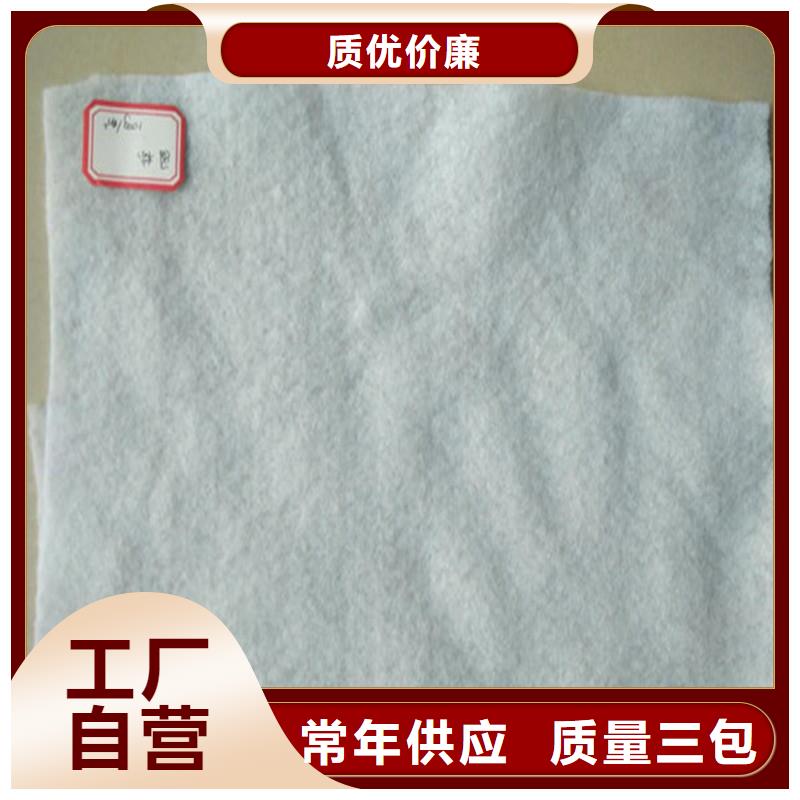 土工布聚丙烯长丝土工布来图定制量大从优