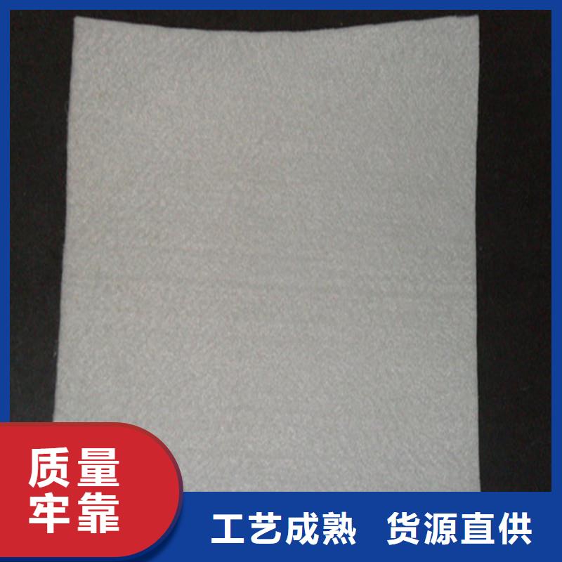 土工布玻纤土工格栅款式新颖