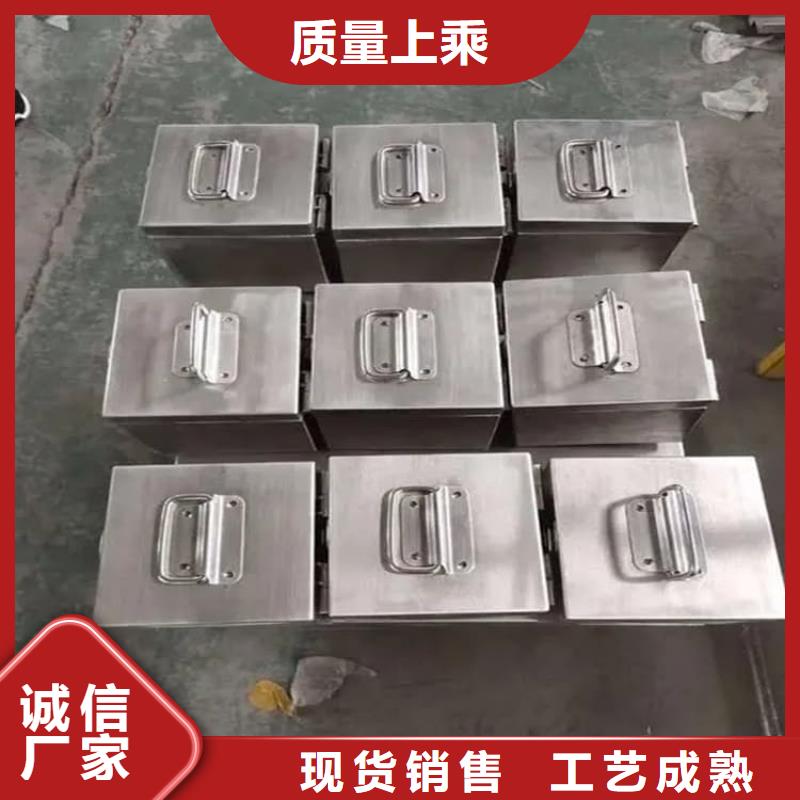 制造放射性物储物铅箱的厂家