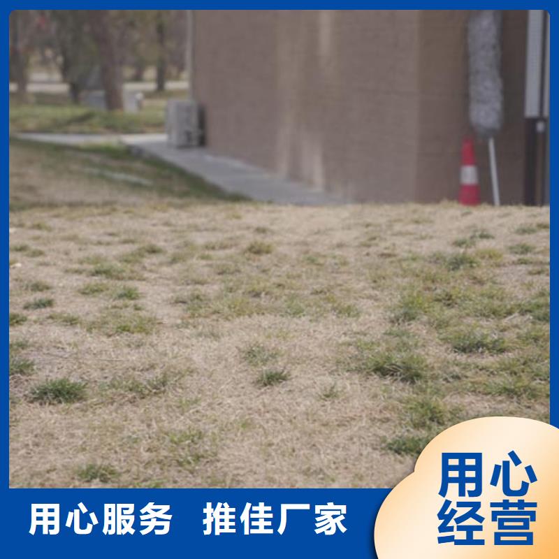 防水夯土漆全包施工