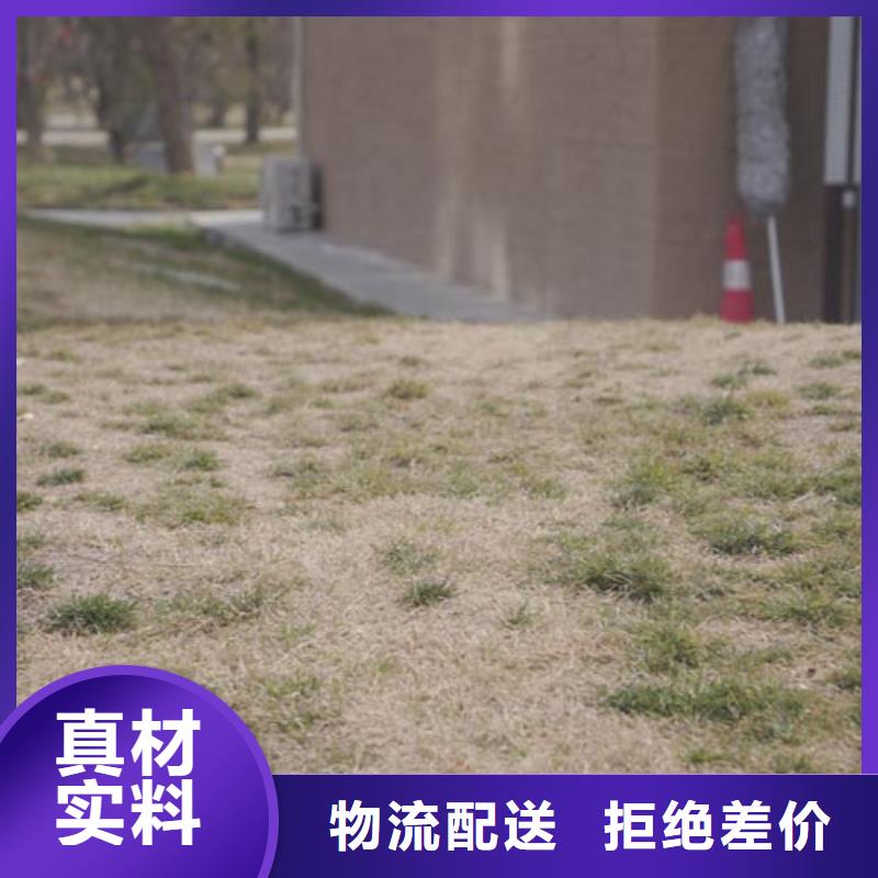 仿夯土稻草漆施工价格买的放心
