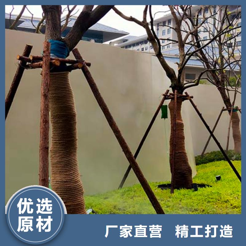 微水泥艺术漆施工工艺