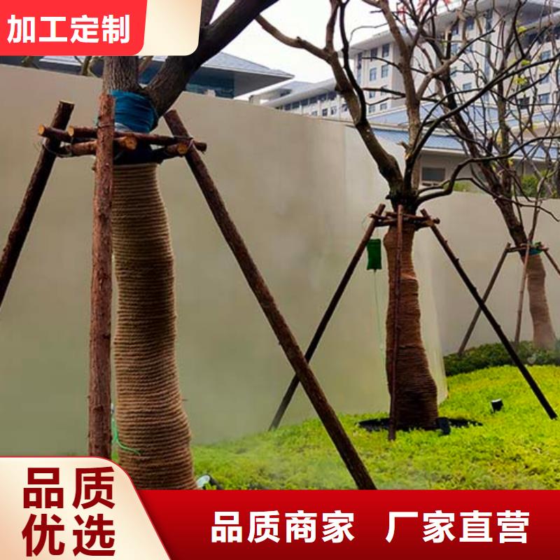 微水泥艺术漆施工团队