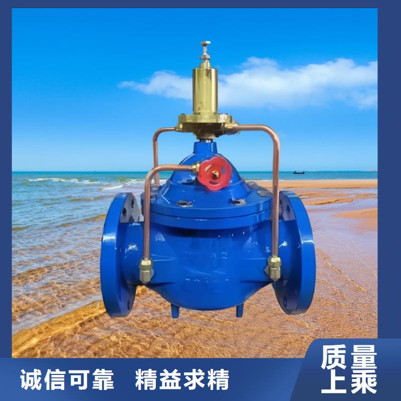 水力控制阀-升降式止回阀工厂直营