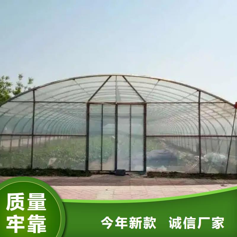 沾益区利得进口黑白膜源头厂家