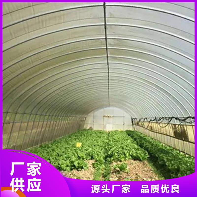 县大棚水槽价格本地厂家