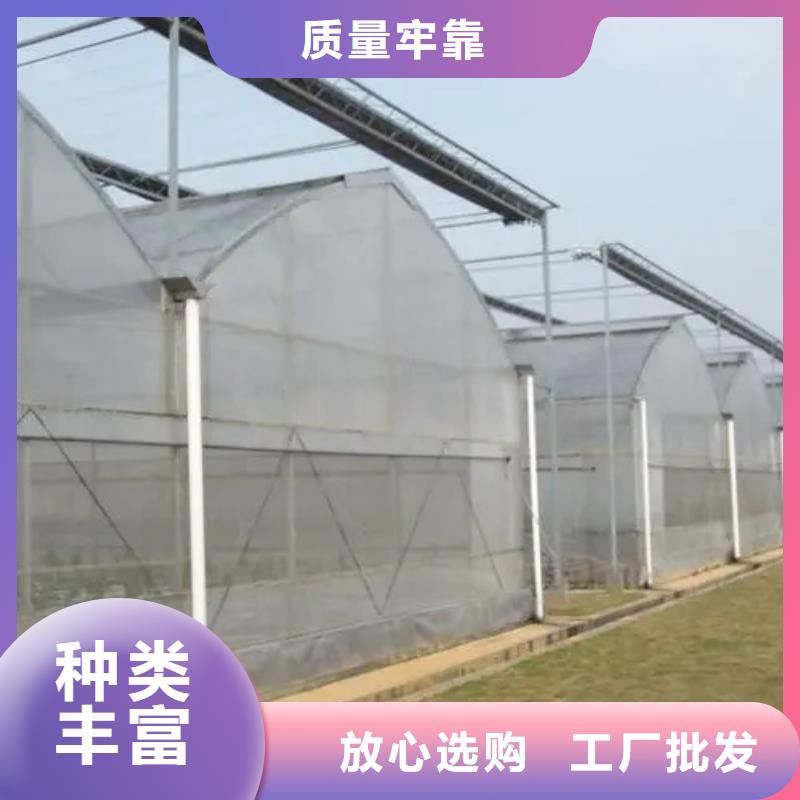 县大棚铝合金防风卡槽现货直供