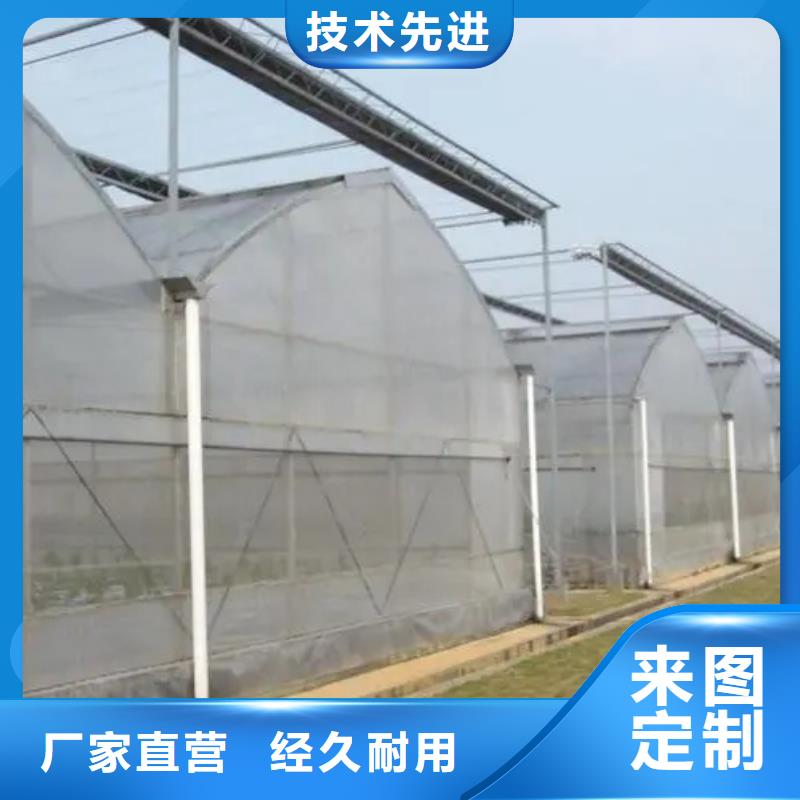 蓝莓温室大棚量大从优金荣圣大棚