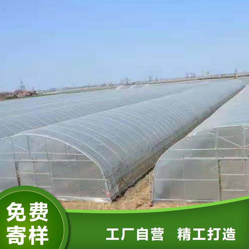 县连体葡萄大棚生产基地