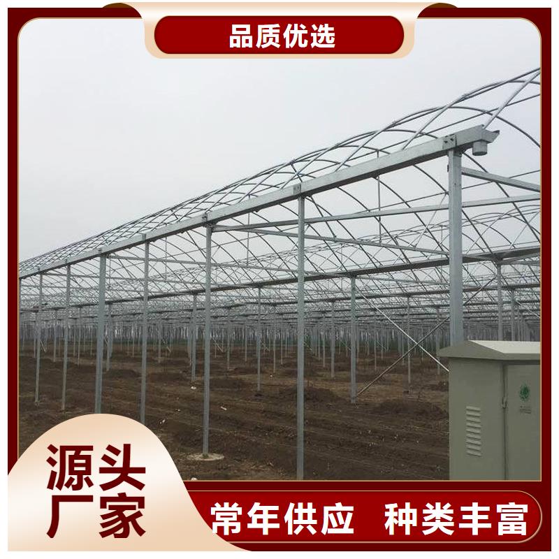 蓝莓大棚无滴膜厂家报价2025乡村振兴计划