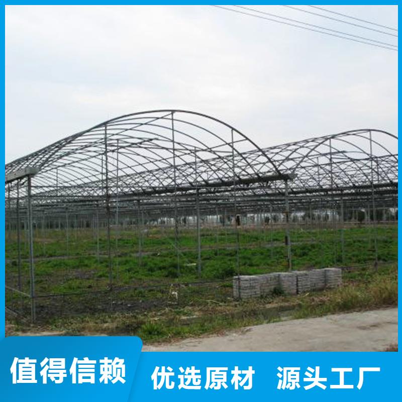 林州县温室连栋大棚12丝薄膜批发零售