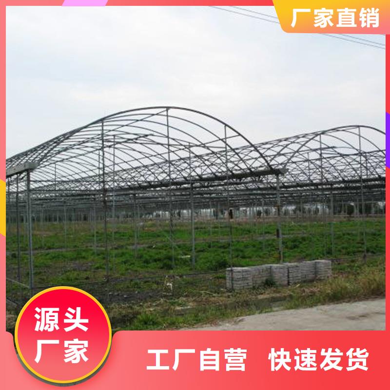 PEP进口利得膜品质保证
