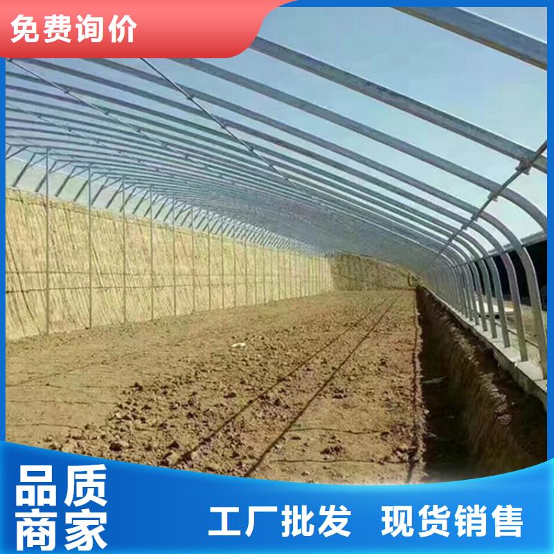 县温室大棚多少钱一平方工厂直销