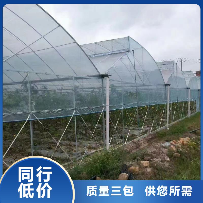 大棚铝合金卡槽图片大全优惠报价